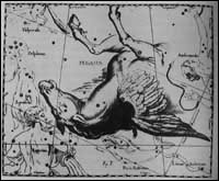 Pegasus